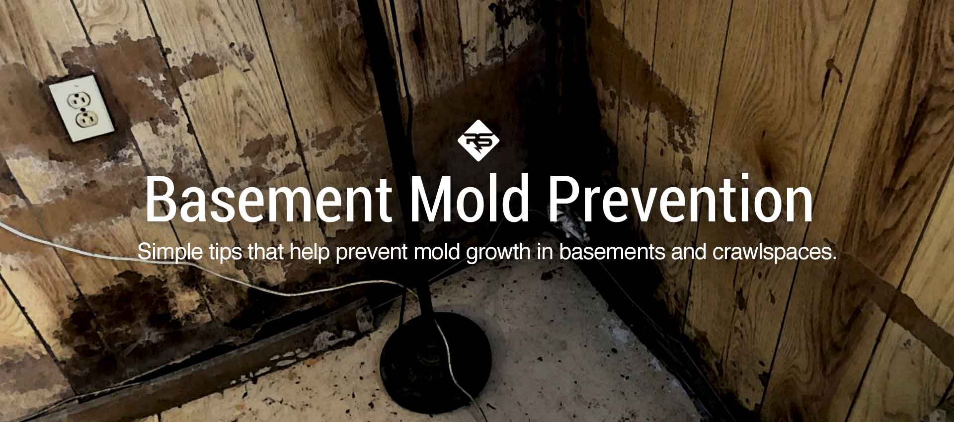 Simple Steps to Prevent Mold in Basement