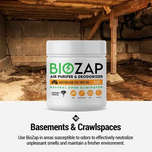 BioZap Air Purifier & Deodorizer - Basements & Crawlspaces